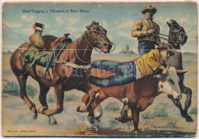 West Texas - America's last frontier!, Bull-dogging a Hereford. leporellocard with 9 cards (hol...