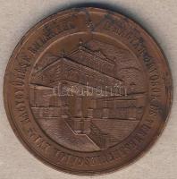 1872. "Mehádia-Magyar Orvosok és Természetvizsgálók..." Br plakett. Szign:Seidán T:2 folto...