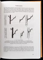 Gyümölcsfaiskola. A gyümölcsfák szaporításának elmélete és gyakorlata. Szerk.: Dr. Hrotkó Károly. Bp...