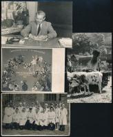 Munka a szocializmusban, 8 db fotó, 9×14 cm