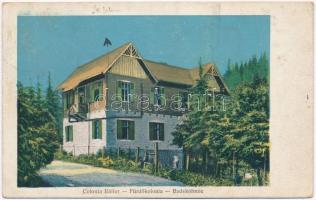 Szentkeresztbánya, Minele Lueta (Szentegyháza, Vlahita); Colonia Bailor / Fürdőkolónia. Kiadja Kamner & Jekelius / Badekolonie / spa colony, bathing house (ázott / wet damage)