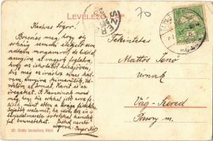 1907 Tata, Tata-Tóváros; Tóparti villák. Kiadja Lindenberg Adolf 20. (fa)