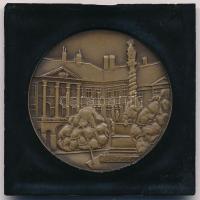 Bogár Lívia (1957-) 1984. "1869 - Soproni Városszépítő Egyesület" Br emlékérem fekete tokb...