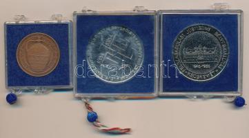 Csúcs Viktória (1934-1993) DN "Hódmezővásárhely Tanácsháza" Br emlékérem (32mm) + 1984. &q...