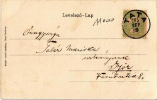 1905 Tata, Tata-Tóváros; Grófi kastély. Tata és Tóváros újság montázs. Nobel Adolf kiadása / newspap...