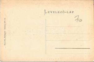 Tata, Tata-Tóváros; Tatai vár a tó felől. Gróf Esterházy Ferenc uradalmi pezsgőgyár reklám. Biró Pál...