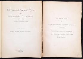 L'Opera di Stefano Türr nel  Risorgimento Italiano (1849-1870.) descritta dalla figilia. I-II. ...