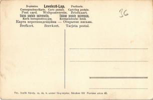 Szováta, Szovátafürdő, Baile Sovata; Maria villa. Fec. Scolik Károly cs. és kir. udvari fényképész /...