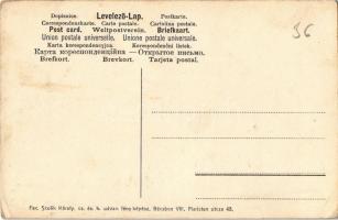 Szováta, Szovátafürdő, Baile Sovata; Maria villa és Lola villa. Fec. Scolik Károly cs. és kir. udvar...