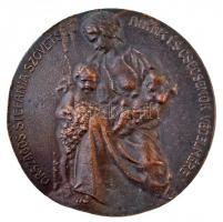 DN "Heim Pál 1875-1929 / Országos Stefánia Szövetség Anyák és Csecsemők Védelmére" kétolda...