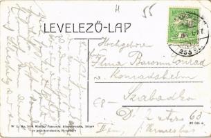 Marosillye, Ilia; Fő utca, Csuts József és társa üzlete. W.L. Bp. 2086. Pannonia könyvnyomda kiadása...