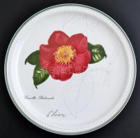 Villeroy&Boch Camellia Rubricanlis emlék tányér, matricás, jelzett, apró kopásnyomokkal, d: 23 cm