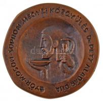 Renner Kálmán (1927-1994) DN "Dr. Petz Aladár 1888-1956 / Győr-Moson-Sopron Megyei Közgyűlés Dr...