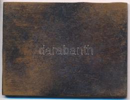 Berán Lajos (1882-1943) DN "Magyar Athlétikai Club Motorsport Osztály bronz emlékplakett (53x70...