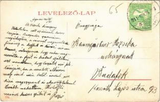 1911 Fogaras, Fagaras; Városliget, vendéglő kert / Stadtwäldchen / park, restaurant garden (EK)