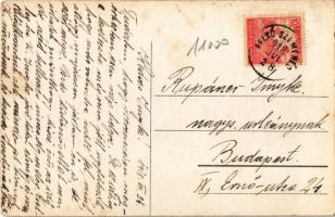 1918 Felsőszemeréd, Horné Semerovce; Gróf Wilczek és Ivánka kastély / castles