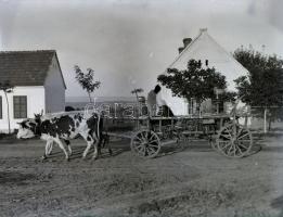 cca 1920-1940 Vetschka (Vecsérdy) Imre (1892-?) volt katonatiszt, amatőr fotós fotóhagyatéka (Budape...