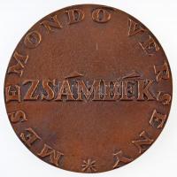 Brém Ferenc (1927-1988) DN "Benedek Elek - Mesemondó verseny - Zsámbék" kétoldalas Br plak...