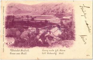 1900 Brád, Arany zúzda. Ábrahám J. kiadása / Gold Pochwerk / gold mine