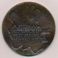 DN "Érted Értem Értünk - A mozgáskorlátozottak pest megyei egyesületétől" kétoldalas Br pl...