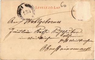 Felsőlövő, Oberschützen; látkép. Kiadja Otto Kirnbauer No. 781. / general view (szakadás / tear)