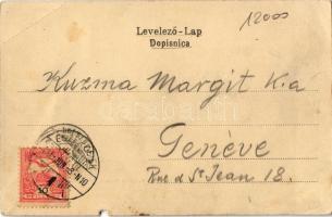 1904 Eszék, Essegg, Osijek;  Partija sa Drave / Partie an der Drau / Dráva part, vízi hajómalom / Dr...