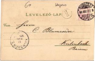 1896 (Vorläufer!!!) Budapest XIV. Az Ezeredéves Kiállítás kocsicsarnoka, Kiállítási falu, Egészségüg...