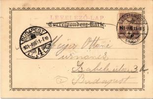 1901 Esztergom, Bazilika prímási palota. Mechanikus lap, floral, litho