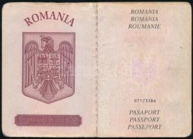 2003 Román útlevél, bebélyegzésekkel, magyarországi tartózkodási engedéllyel és vízummal