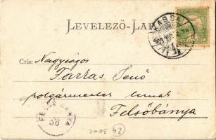 1903 Ránkfüred, Ránkherlány, Herlany; a herlányi gejzír, melynek vize 25-30 méter magasra tör fel / ...