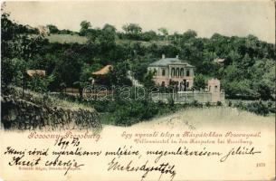 1899 Pozsony, Pressburg, Bratislava; Egy nyaralótelep a Kárpátokban Pozsonynál. Schmidt Edgar kiadása / Villenviertel in den Karpaten bei Pressburg / villa (kis sarokhiány / small corner shortage)