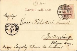 1899 Pozsony, Pressburg, Bratislava; Egy nyaralótelep a Kárpátokban Pozsonynál. Schmidt Edgar kiadás...