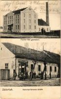 Zádorlak, Zadareni; Fischer-féle gőzmalom, Hemmen Ferenc üzlete, Dajkovits J. utóda kiadása / steam mill, town hall, shop (EK)