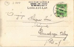 1909 Máramarossziget, Sighetu Marmatiei;  Vasúti indóház, Vasútállomás. Kiadja Berger / Bahnhof / ra...