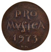 Borsos Miklós (1906-1990) 1973. "Pro Musica" Br plakett (70mm) T:2