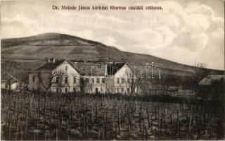 1912 Sátoraljaújhely, Dr. Molnár János kórházi főorvos családi otthona, szőlőskert