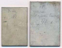 DN "Magyar Síszövetség versenydíja" fém emlékérem (2x)(41,5x62mm; 49x72mm) T:2