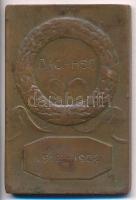 Berán Lajos (1882-1943) ~1922. DAC-HSE - 1912-1922 Br plakett, S.G.A. gyártói jelzéssel (40x60mm) T:2-
