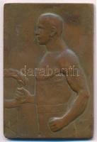 Berán Lajos (1882-1943) ~1922. "DAC-HSE - 1912-1922" Br plakett, S.G.A. gyártói jelzéssel ...