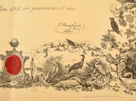 1911 Bp., A Királyi Magyar Természettudományi Társulat által kiadott díszes oklevél Molnár András ré...
