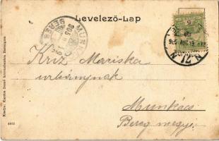 1905 Esztergom, Bazilika, előtte a Dunán úszó vízi hajómalmok, hajómalom. Kiadja Kardos Dezső / Danu...