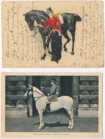 10 db RÉGI ló motívum képeslap / 10 pre-1945 horse motive postcards