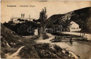 40 db főleg régi magyar és történelmi magyar városképes lap; vegyes minőség / 40 mainly pre-1945 Hun...