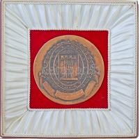 1970.  "Sárvár - Peczeti 1641 - Sárvárváras - Munkaügyi Minisztérium Találkozója" kétoldal...