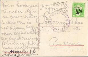 1914 Fehértemplom, Ung. Weisskirchen, Bela Crkva; Kórház Schmidt C. Adrian pavilonja / Krankenhaus /...