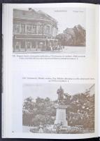 Demeter Zsófia - Gelencsér Ferenc: Székesfehérvár Anno. Pannon Nyomda, 1990. 229 old.