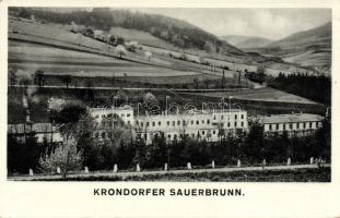 Stráz nad Ohrí, Krondorfer Sauerbrunn / mineral water advertisement on the background