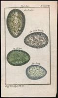 cca 1780-1790 Holló tojások, színezett rézmetszet, papír, in: Buffon, Georges Louis Le Clerc de: Naturgeschichte der Vögel. VII. CCXLVIII t., német nyelvű felirattal,13x8 cm.