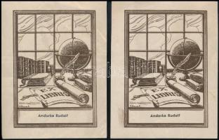Azonosítatlan jelzéssel (R. Bauer L.): Andorka Rudolf (1931-1997) szociológus 2 db ex librise, klisé, papír, jelzett a nyomaton, 9x6 cm