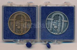 DN "Balassagyarmat" Br és ezüstpatinázott Br emlékérem (2xklf) eredeti, plombált "ÁPV...